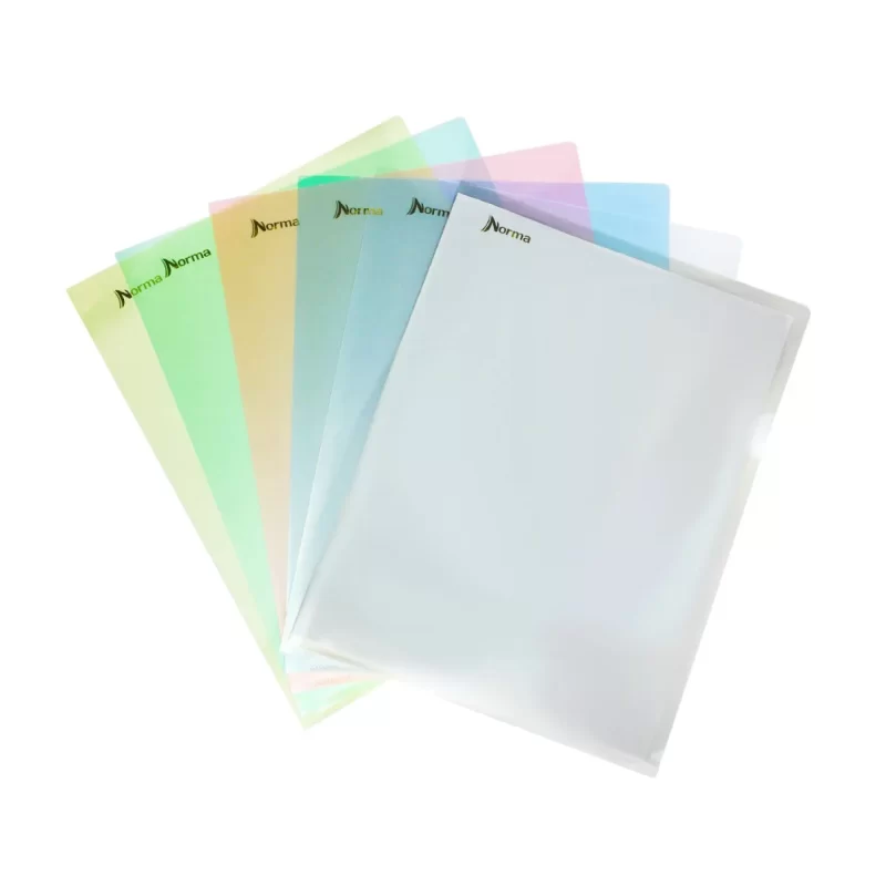 ORGANIZADOR DE DOCUMENTOS NORMA EN L PLASTICO X 6