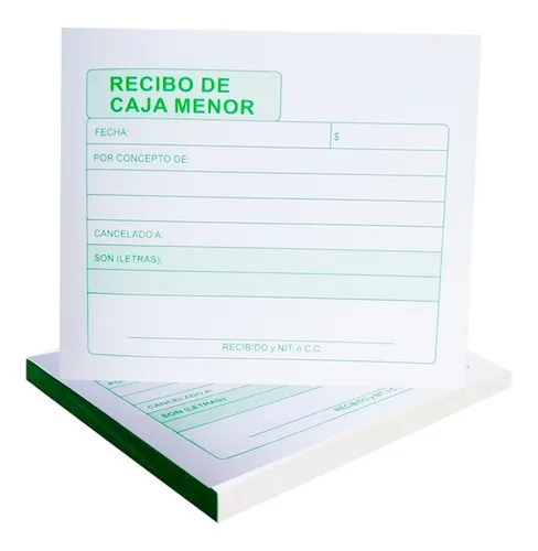 RECIBO DE CAJA MENOR 100 HJ